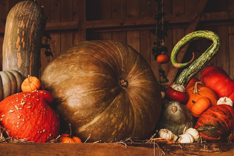 Pumpkins in a fall setting